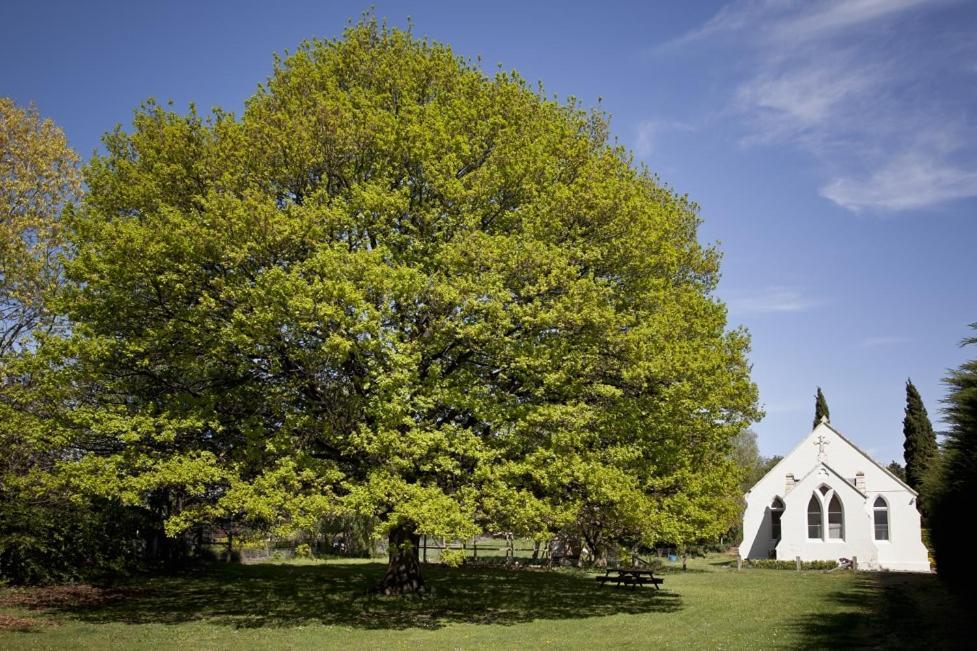 Вилла The Holy Oaks Duntroon Экстерьер фото